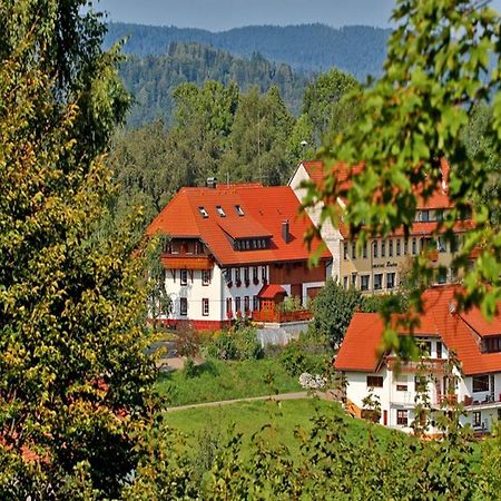 Haus Schlageter Apartment Dachsberg im Schwarzwald Екстериор снимка