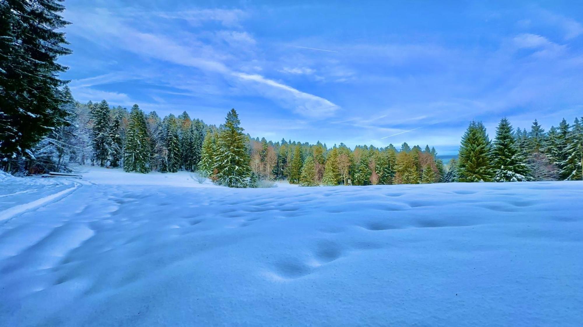 Haus Schlageter Apartment Dachsberg im Schwarzwald Екстериор снимка