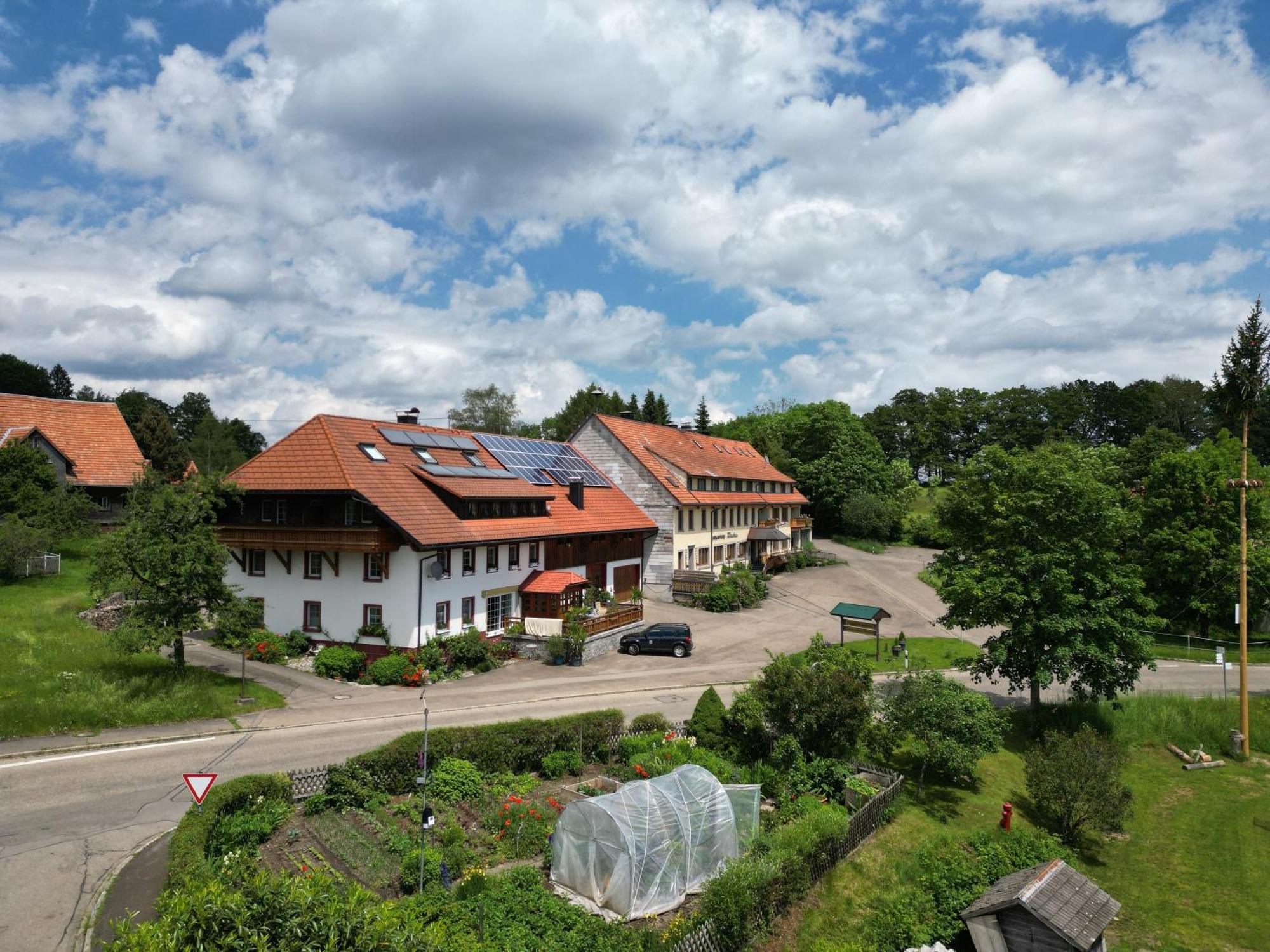 Haus Schlageter Apartment Dachsberg im Schwarzwald Екстериор снимка