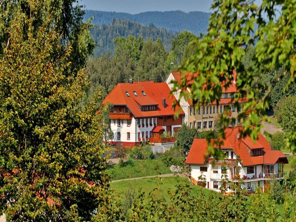 Haus Schlageter Apartment Dachsberg im Schwarzwald Екстериор снимка